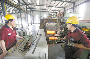 武強 技術開發領域的璀璨新星與未來展望